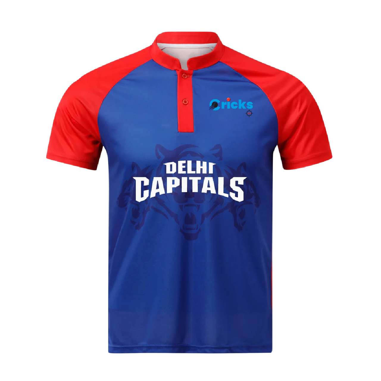 Delhi Capitals New IPL Replica Jersey DC With Name Personalization
