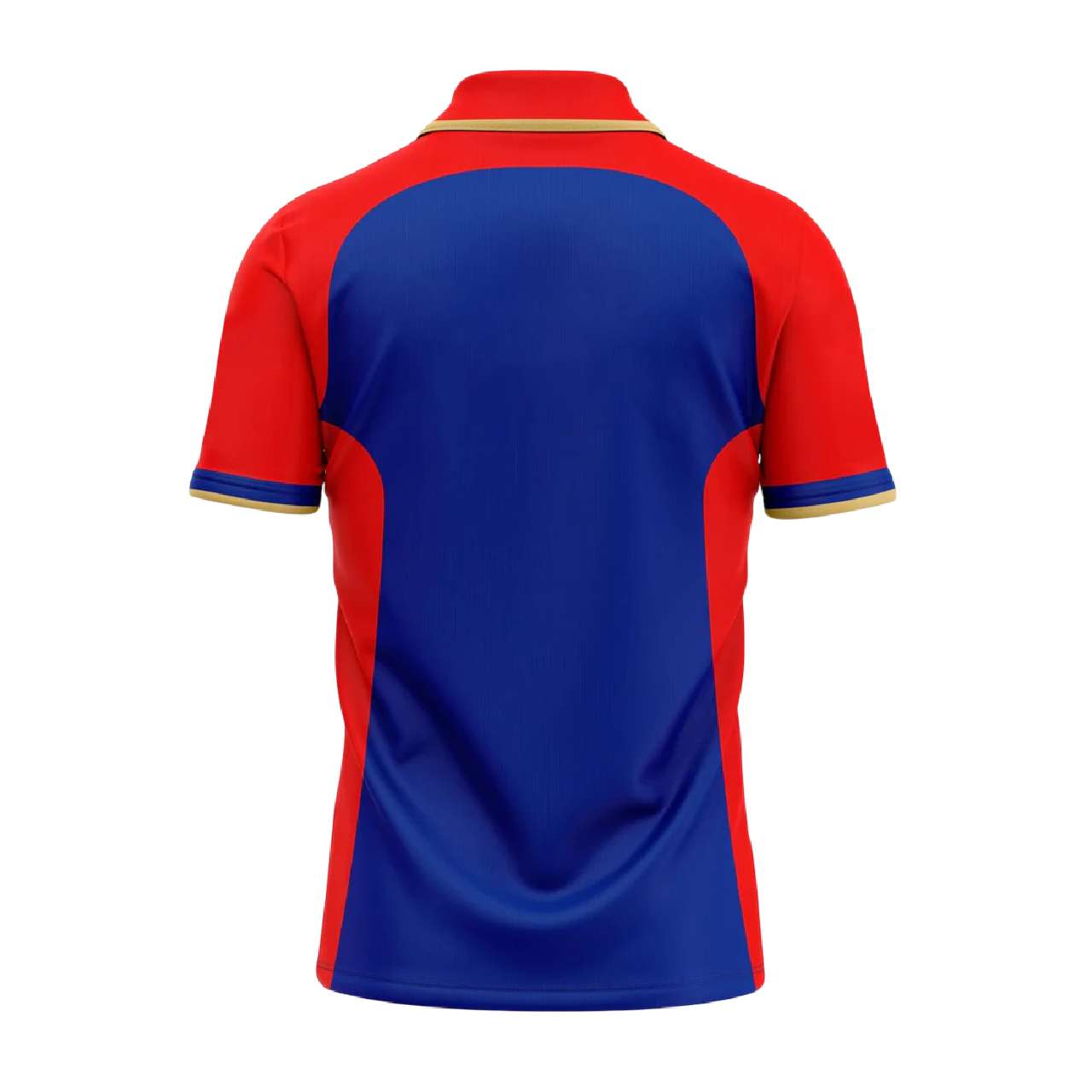 Delhi Capitals New IPL Replica Jersey (DC With Name Personalization) - Image 2