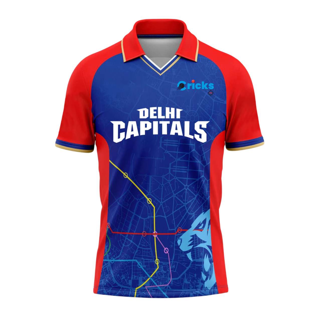 Delhi Capitals New IPL Replica Jersey (DC With Name Personalization)