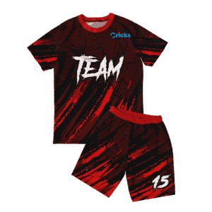 Customized Badminton T-Shirts for Players