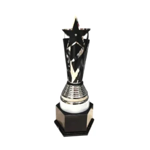 Premium Quality Awards and Trophies Collection