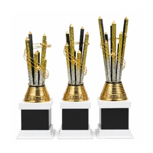 Custom Awards and Trophies for Every Occasion