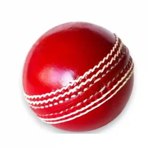 Best Cricket Leather Ball for Professional Players & Cricket Coaching 50 Overs(Pack of 1)